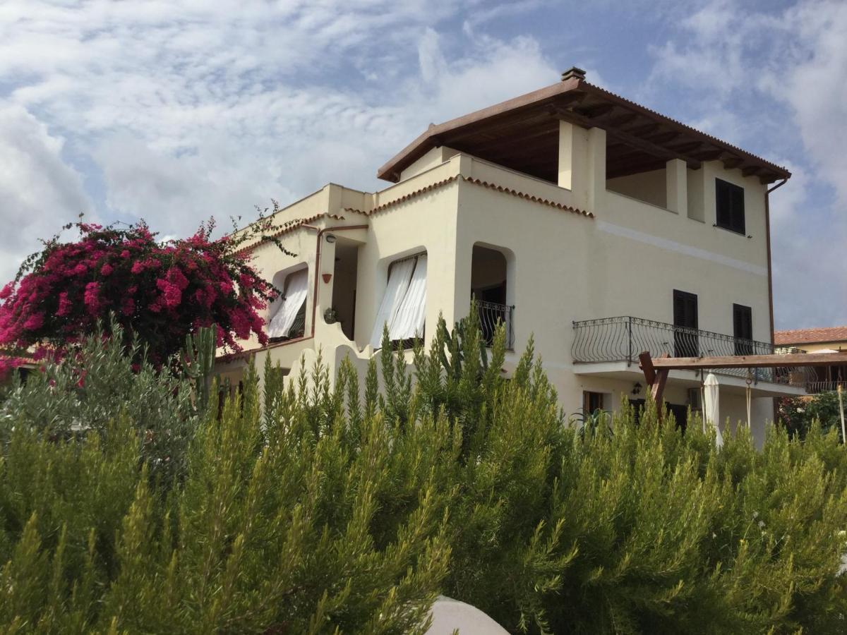 Bouganville *